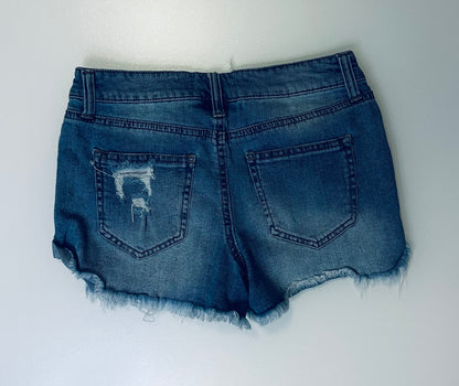 Size 25/1 Altar’d State Cut Off Shorts