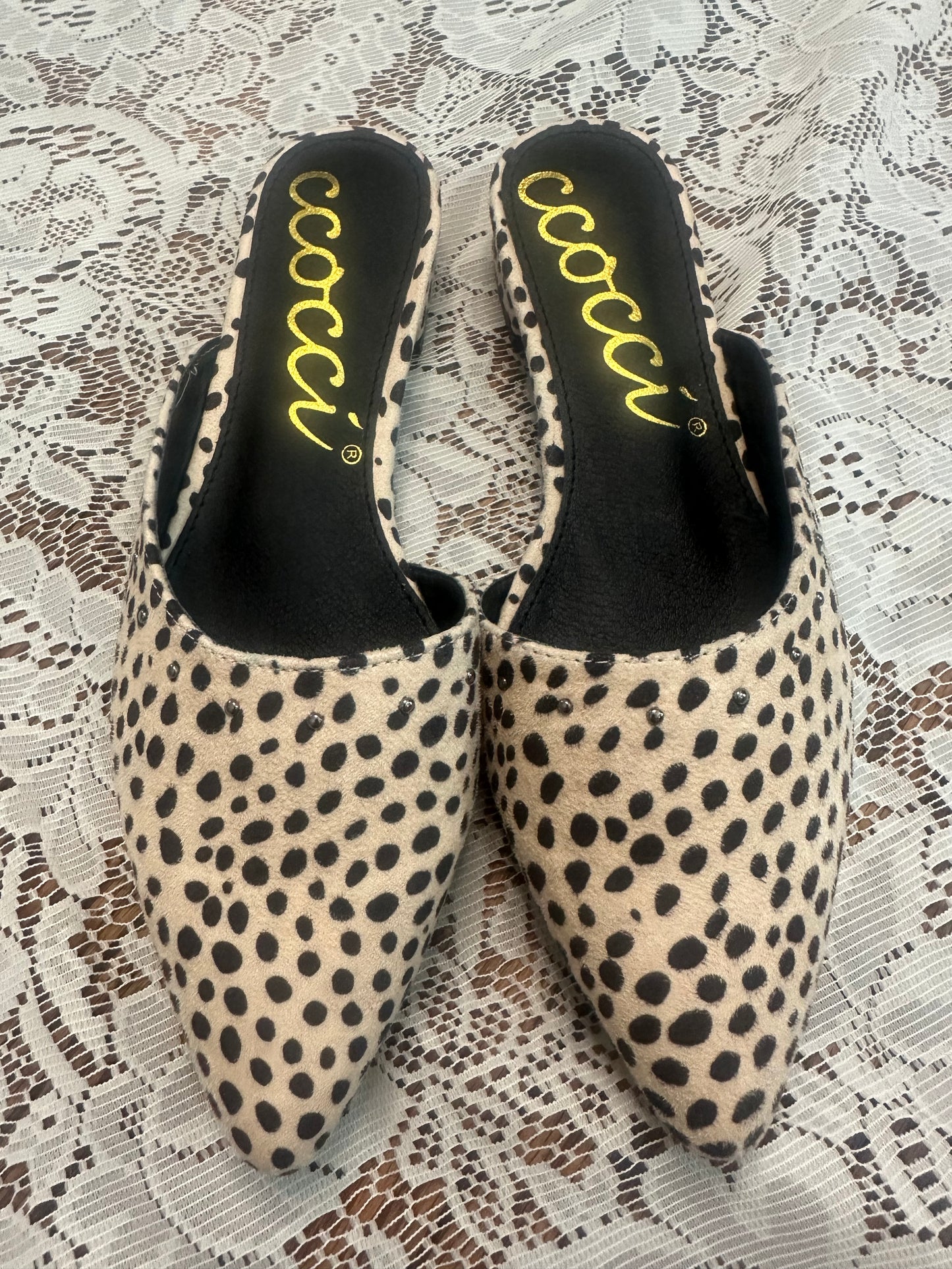 CCocci flats Size 6